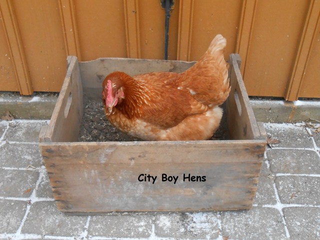 Honda demonstrating for you!