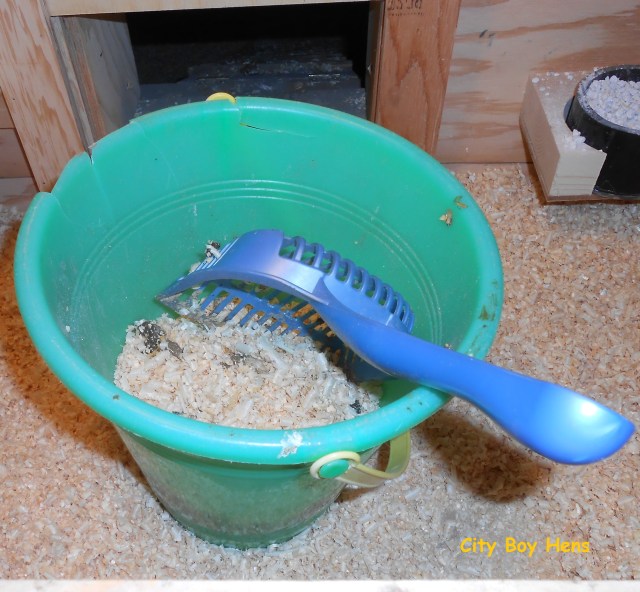 I don't think I need a caption!