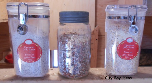 Oyster Shell, Grit, Scratch