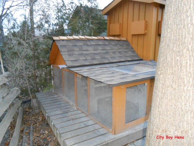 Closed windows in back of coop.