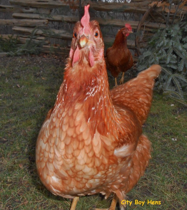 What you talkin' 'bout Willis?