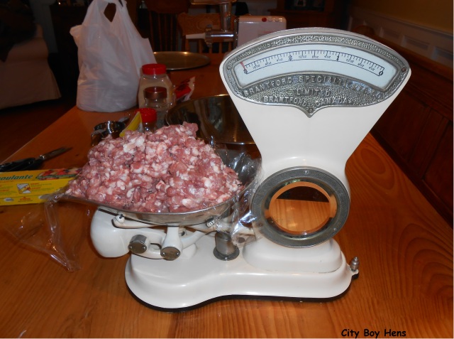 Weighing out the meat on Nono's scale.
