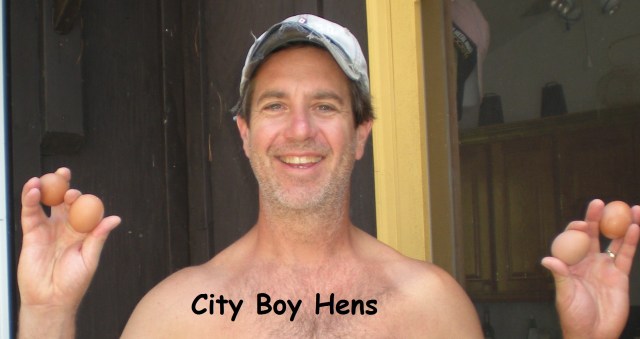 Honda's first 4 eggs!