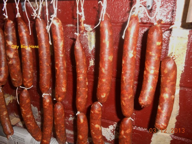 Day 4  Beginning to dry, getting thinner, and turning a deeper red.