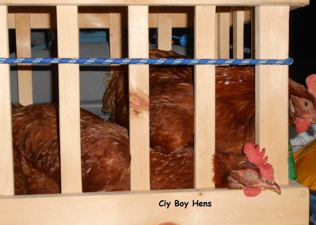 Are We.......Almost....There.....zzzzzzzzzzzzzzzzzzzzzzzzzzzzzz